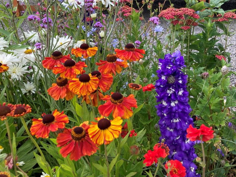 Carousel-Blooms-&-Branches-6