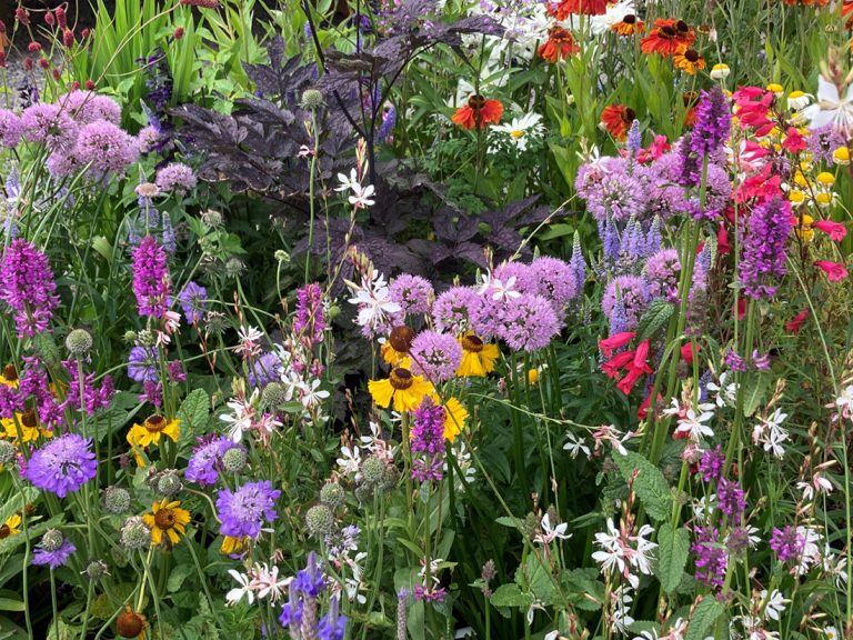 Carousel-Blooms-&-Branches-7